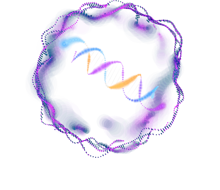 29.png